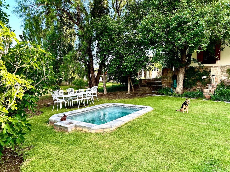 Garden, Swimming pool