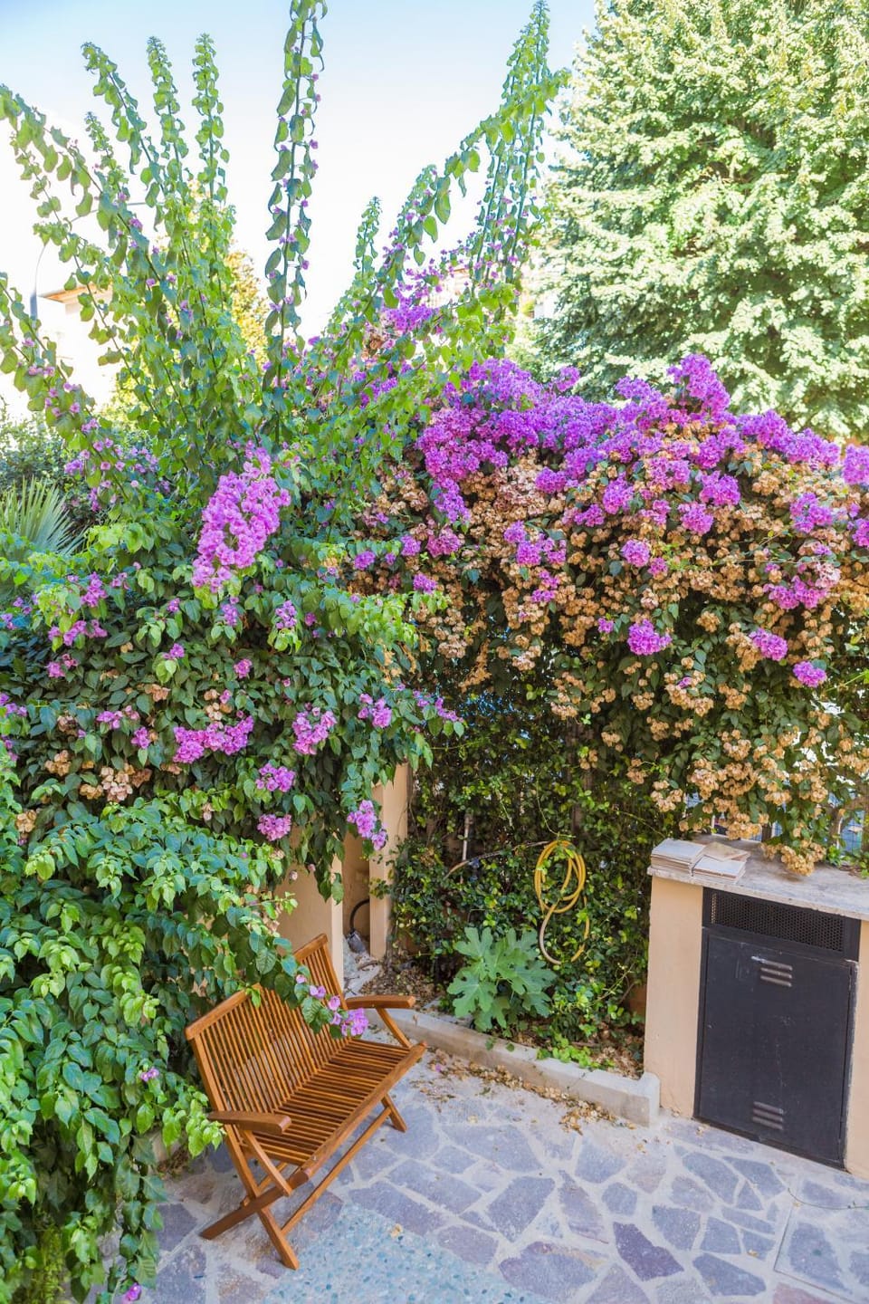Property building, Garden, Garden view, Garden view