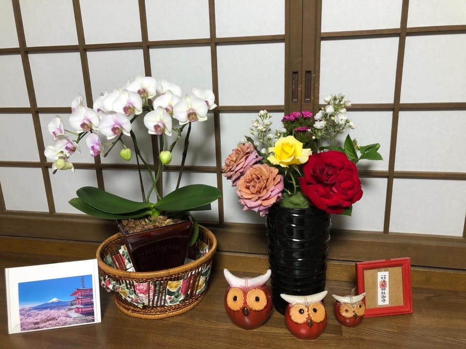 Fukurou no Oyado - Vacation STAY 71438v Bed and Breakfast in Japan