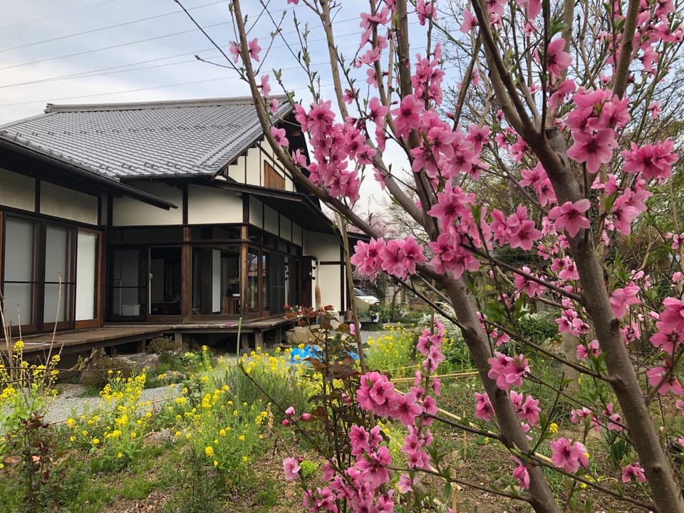 Fukurou no Oyado - Vacation STAY 71246v Bed and Breakfast in Japan