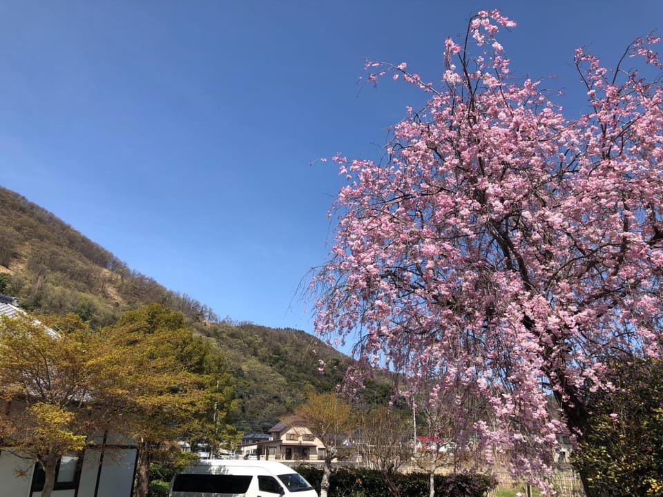 Fukurou no Oyado - Vacation STAY 71246v Bed and Breakfast in Japan
