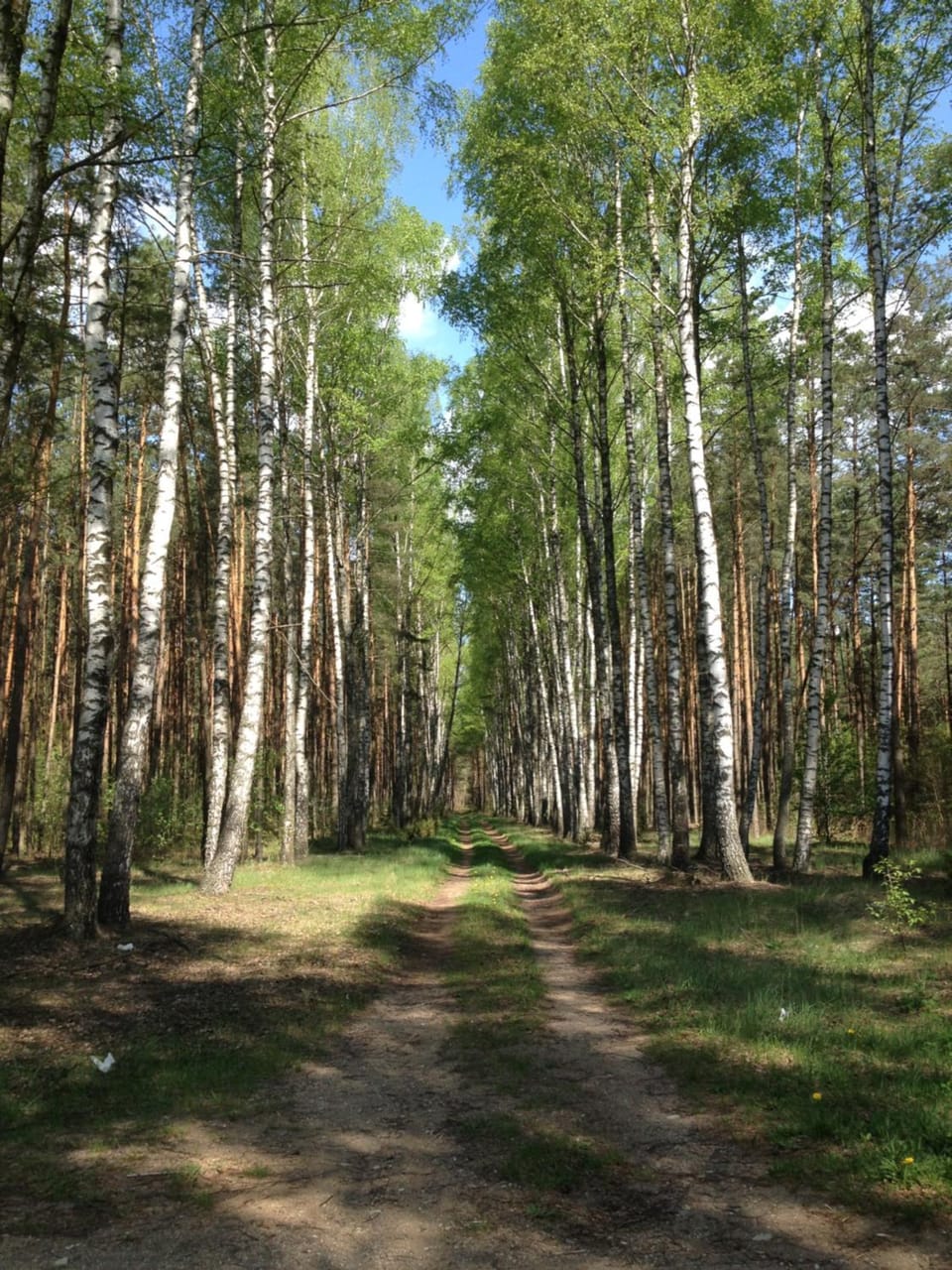 Spring, Natural landscape