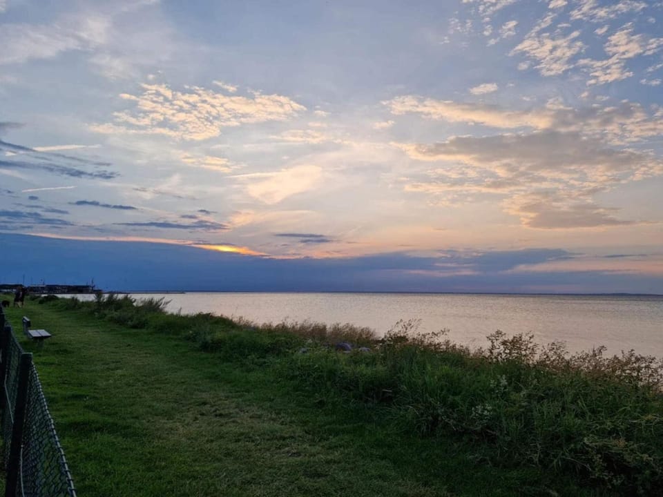 Lake view