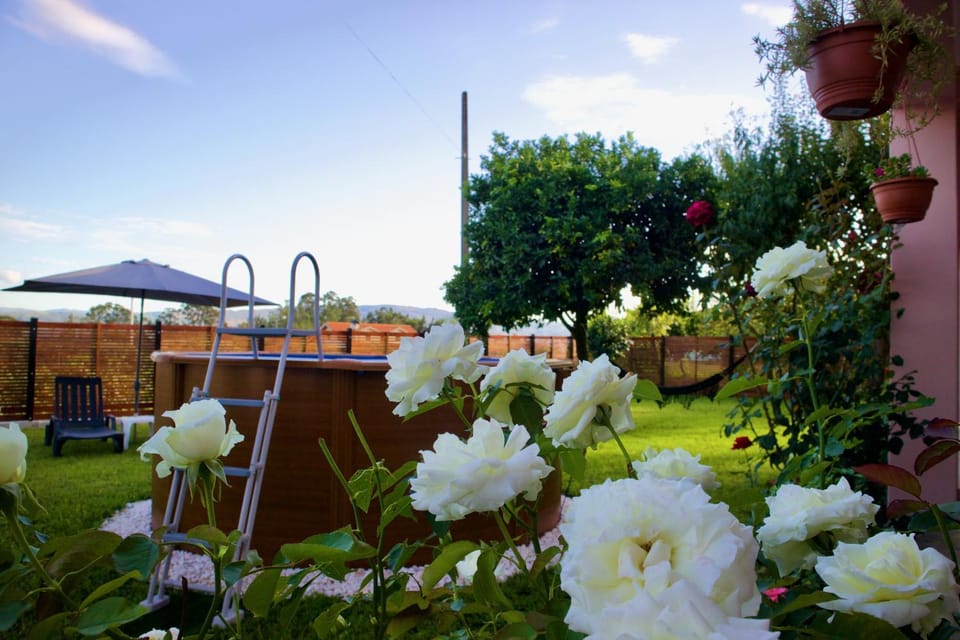 Garden, Garden view
