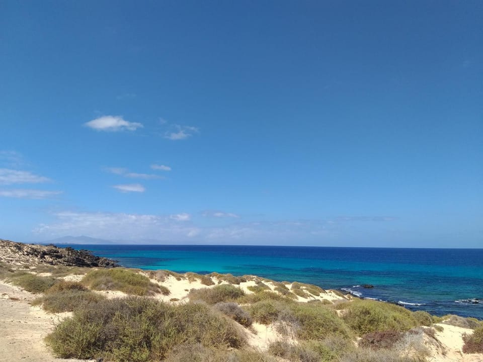Natural landscape
