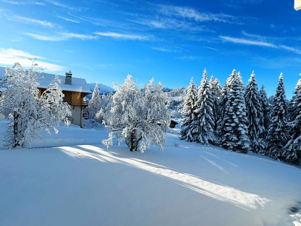 Le FLOCON du Mont Darbois classé 3 étoiles Apartment in Megève