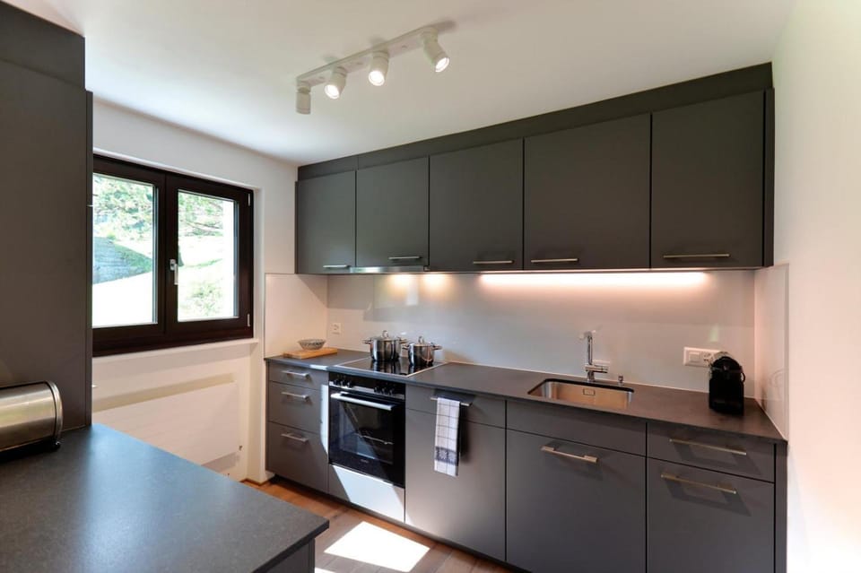 Kitchen or kitchenette, dishwasher, pet friendly, stove