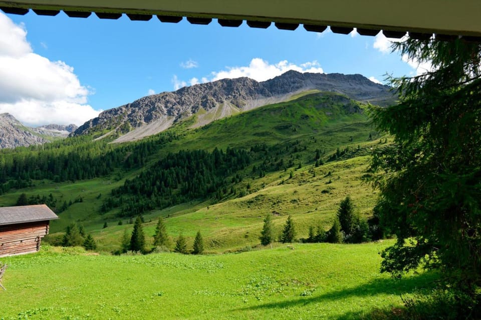 Summer, View (from property/room), Mountain view