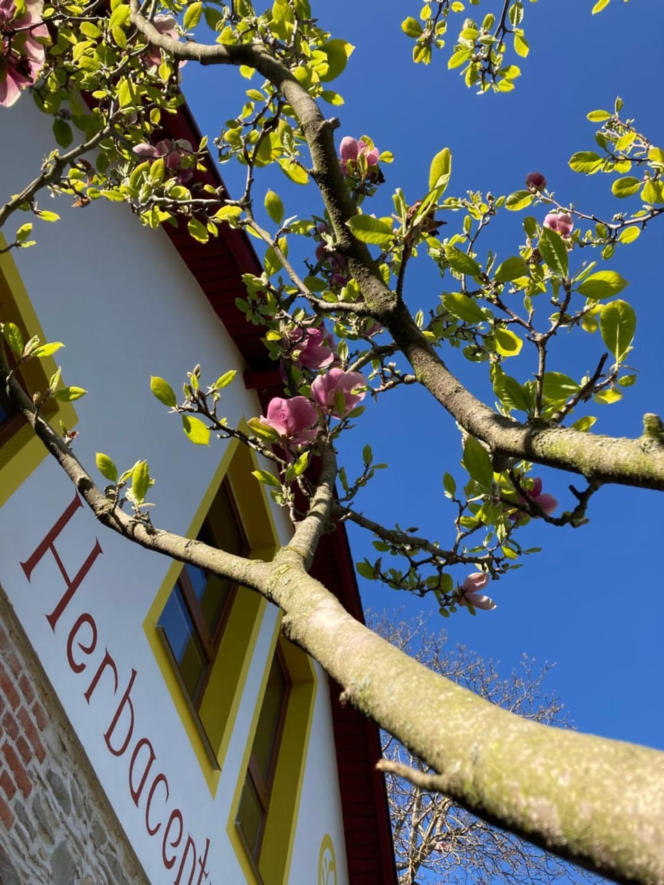 Property building, Spring