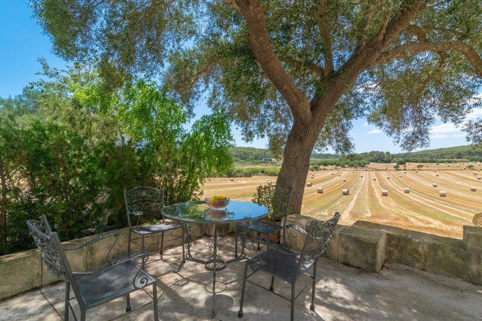 Patio, Other