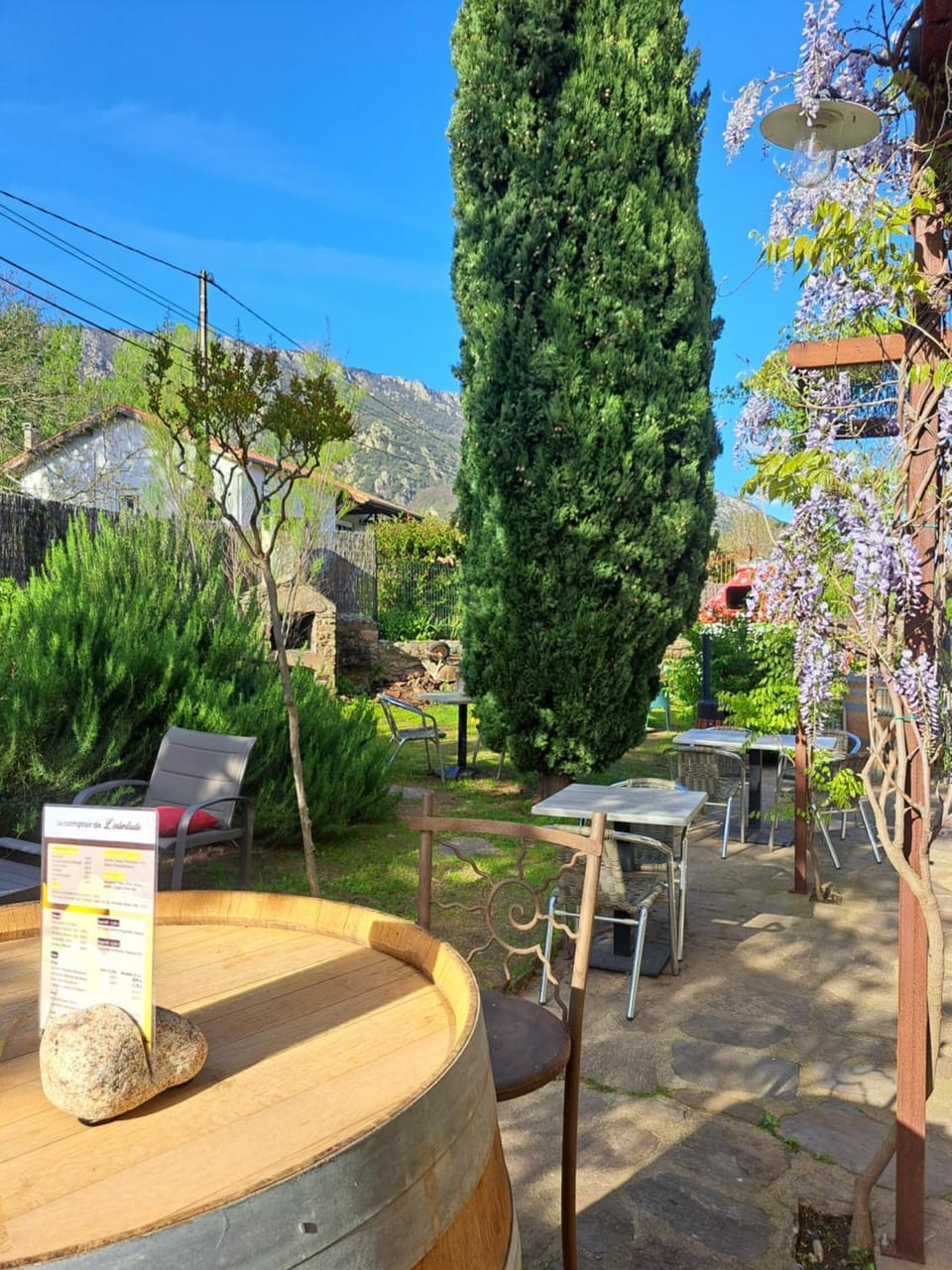 Restaurant/places to eat