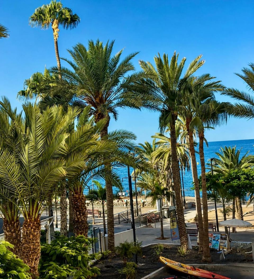 Guayero Palm View, Sea at 50m, Beach at 100m Apartment in Los Cristianos