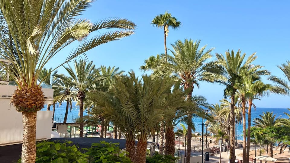 Guayero Palm View, Sea at 50m, Beach at 100m Apartment in Los Cristianos