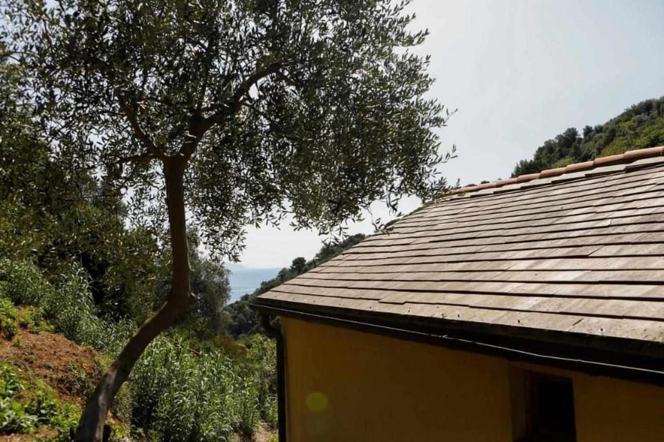 L'Eremo-Rifugio escursionistico.10 min steep walk! Country House in Liguria