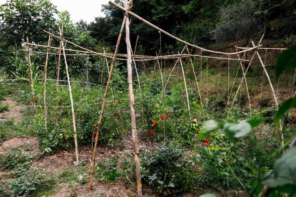 L'Eremo-Rifugio escursionistico.10 min steep walk! Country House in Liguria
