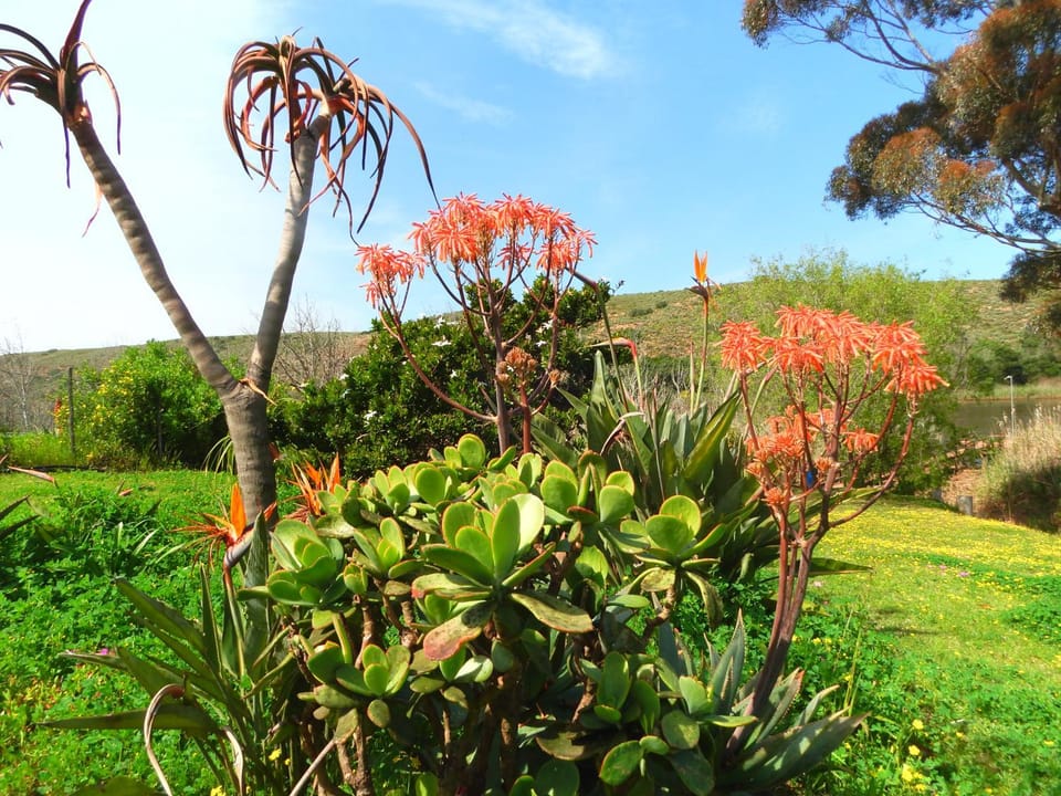 Ashanti House - Living The Breede House in Western Cape