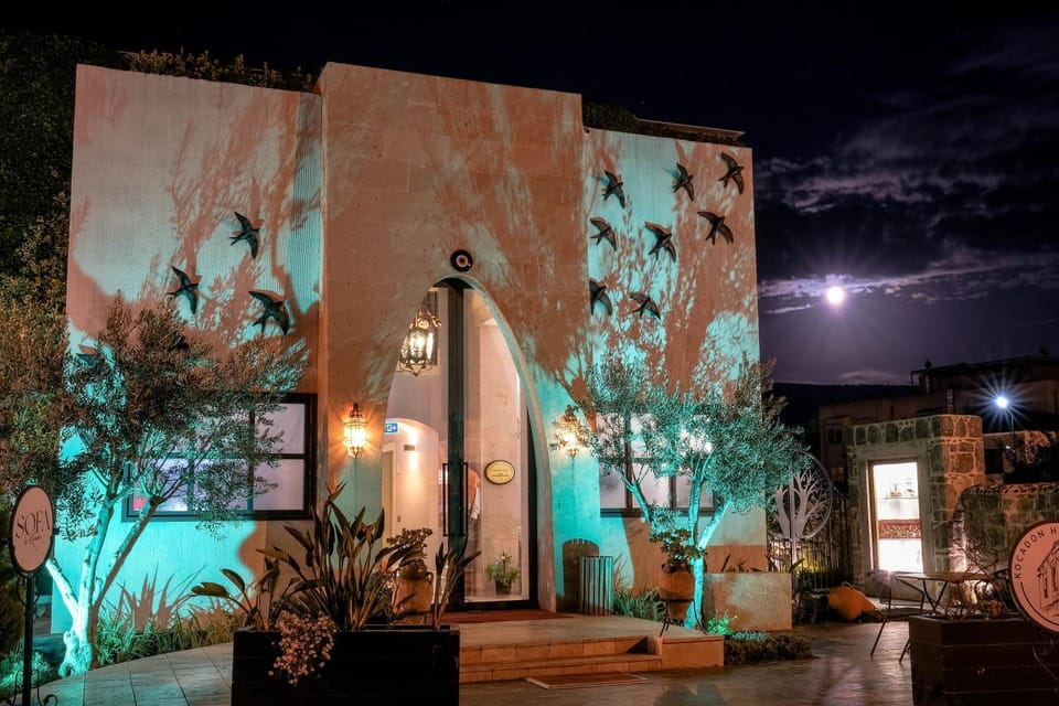 Property building, Patio, Night, Garden