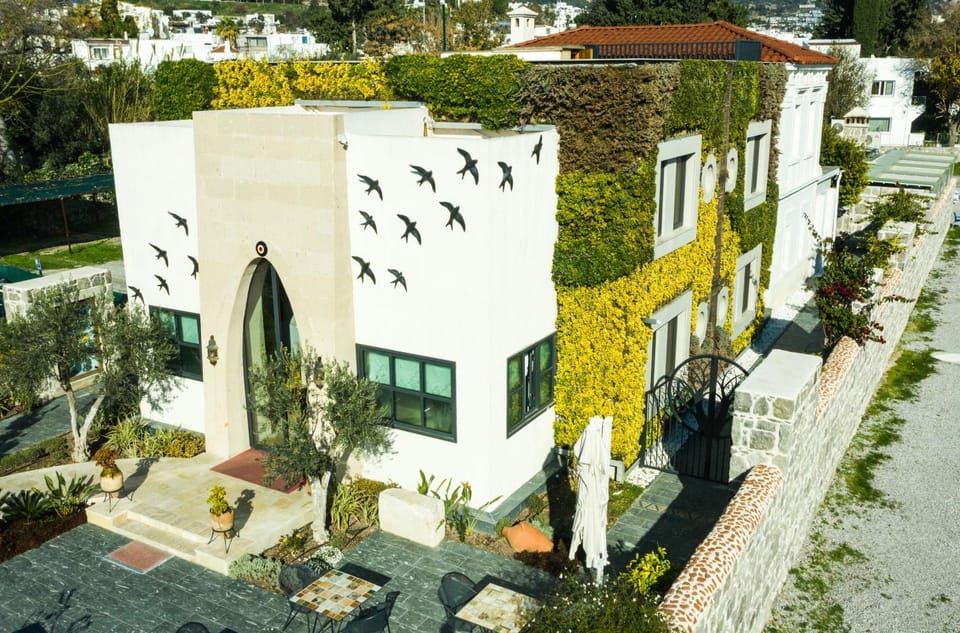 Property building, Garden view