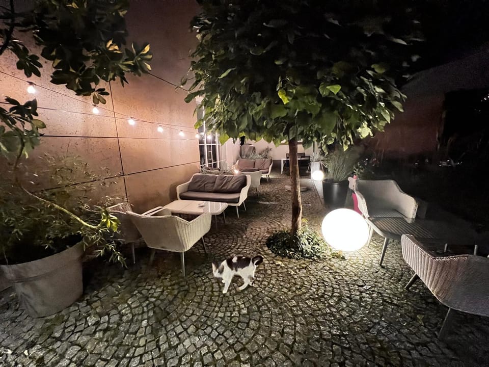 Night, Seating area, Garden view