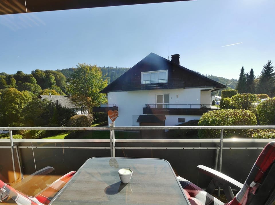Appartement Gänseblümchen - klein aber fein - mit Skywalkblick Apartment in Willingen