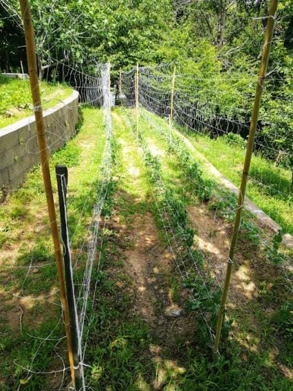 Il Pettirosso Bed and Breakfast in Piedmont