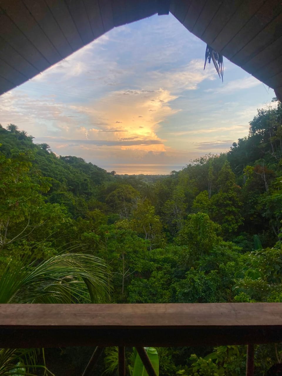 Sea view