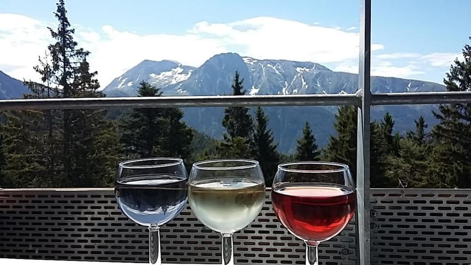 Balcony/Terrace, Balcony/Terrace, Mountain view