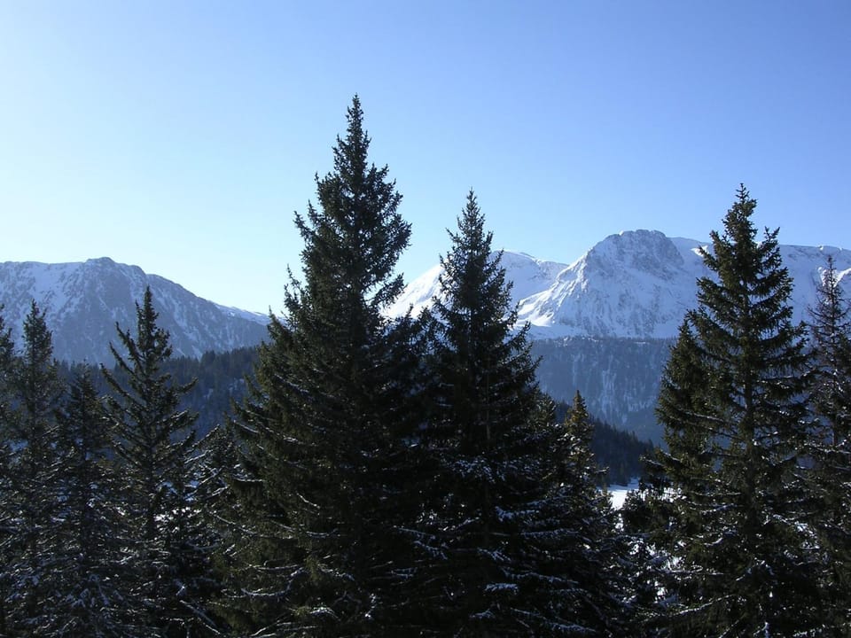 Mountain view