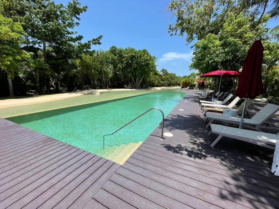 Day, Pool view, Swimming pool