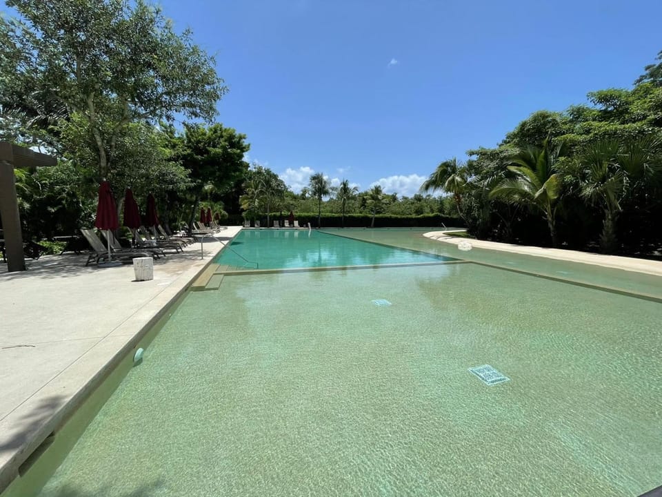 Day, Pool view, Swimming pool