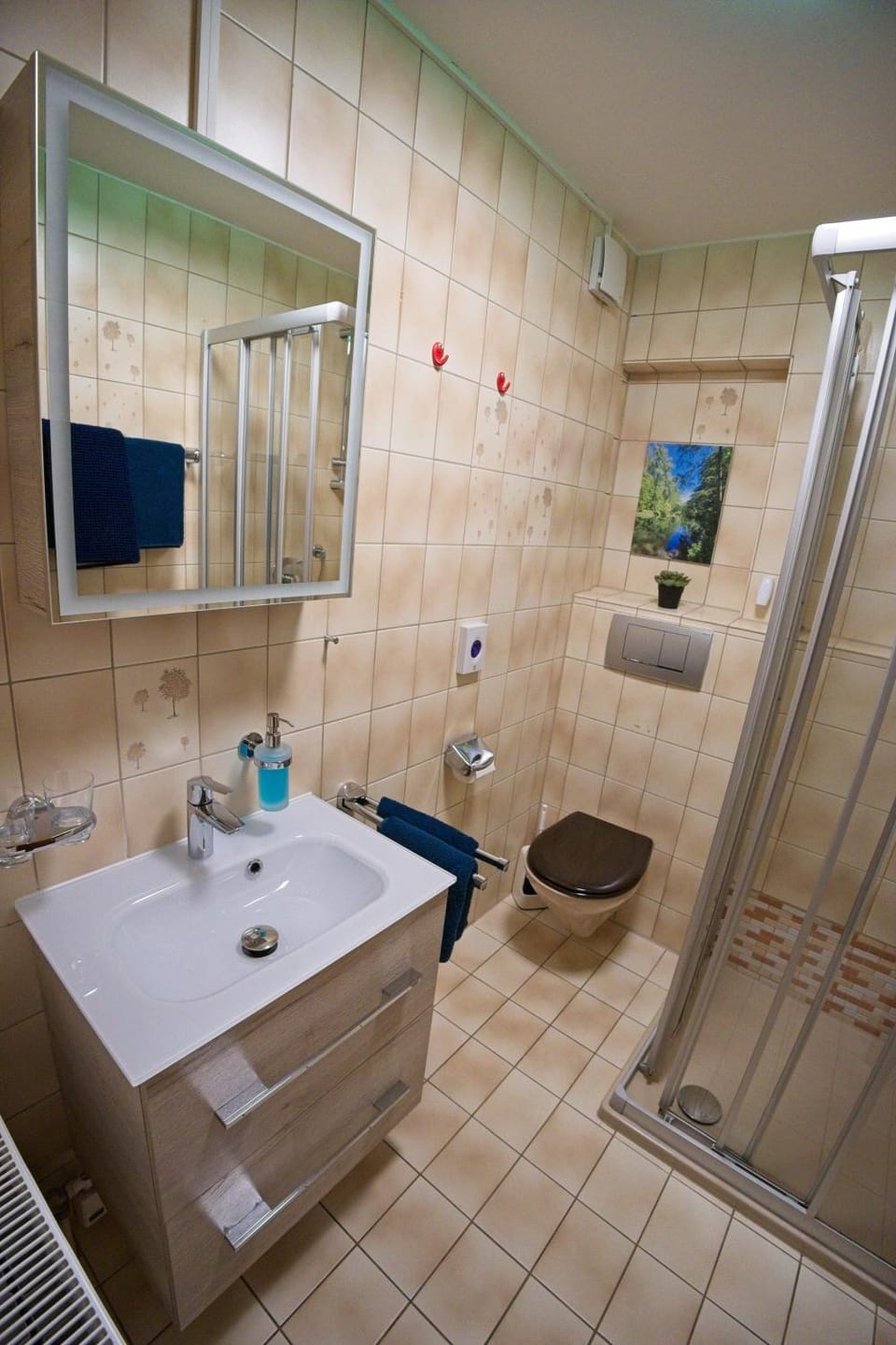 Shower, Toilet, Bathroom