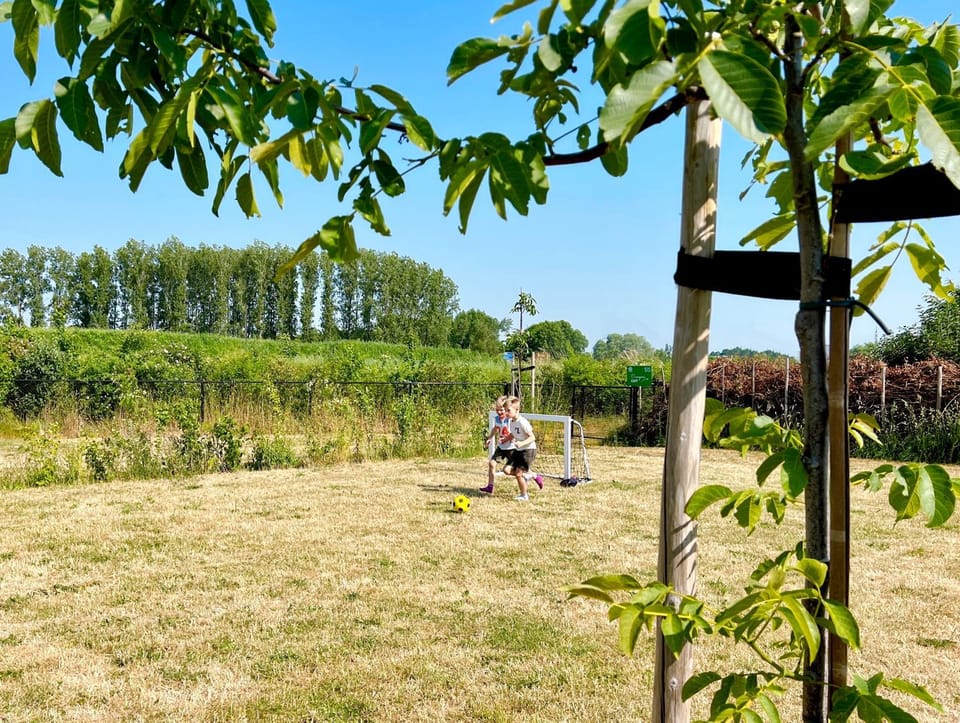 Children play ground