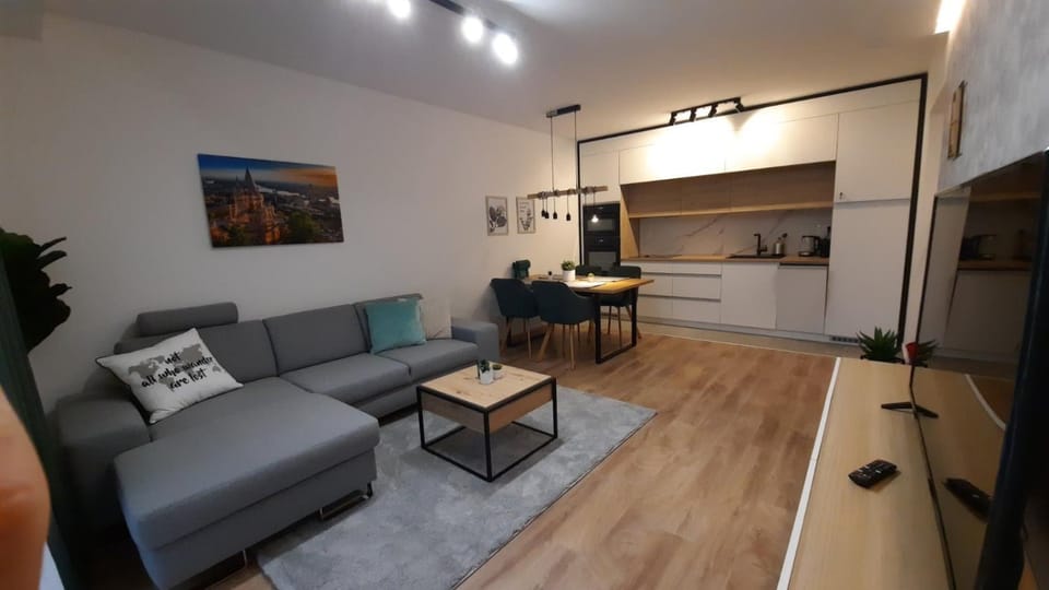 Living room, kitchen