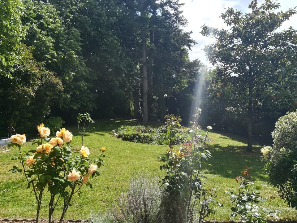 Natural landscape, Garden, Garden view