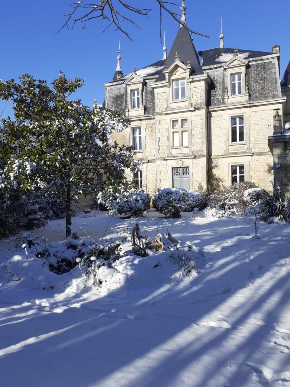 Winter, Garden
