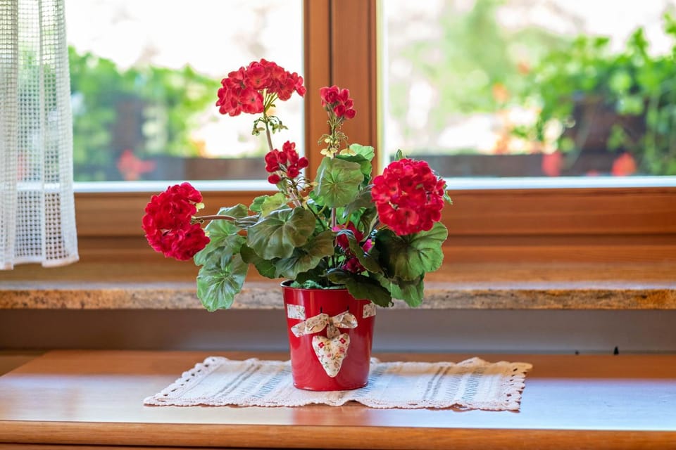 Cesa Soramurat Appartamento 3 Apartment in Canazei