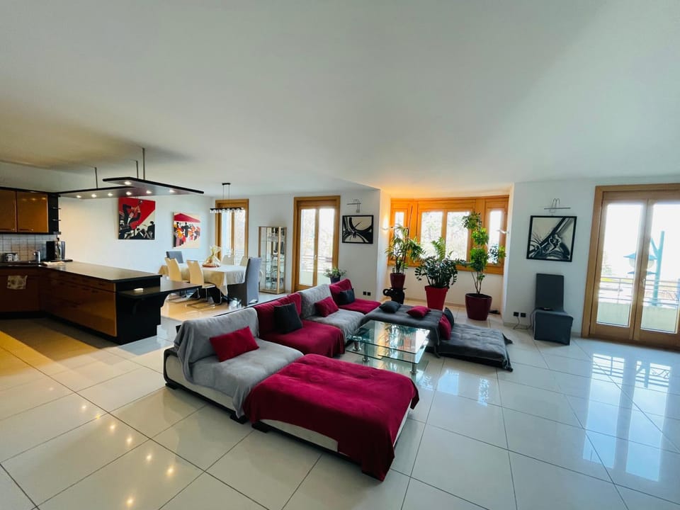 Magnifique T3 spacieux de 150 m carrés Vue Lac Léman Apartment in Évian-les-Bains