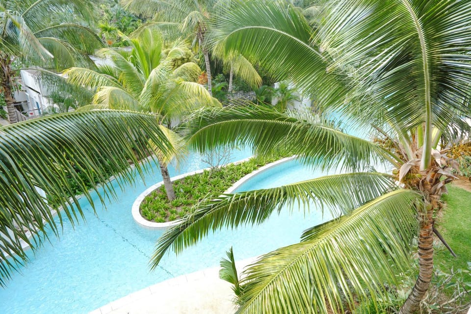 Natural landscape, Garden, Garden view, Pool view, Swimming pool
