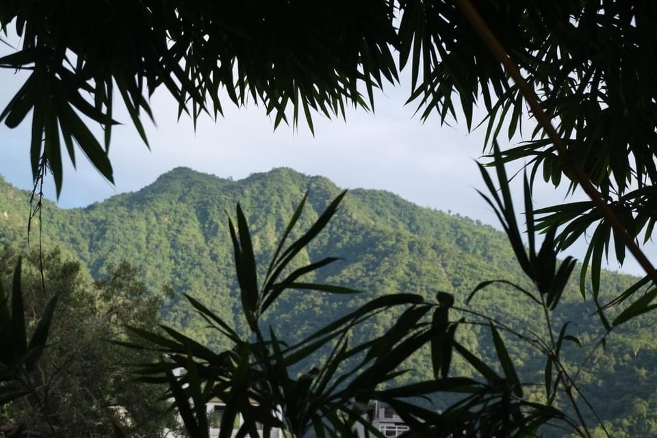 Mountain view