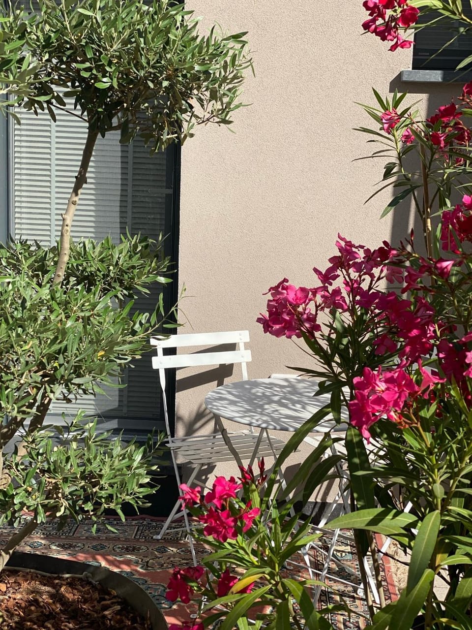 squero 911 appartament Bed and Breakfast in Cesenatico