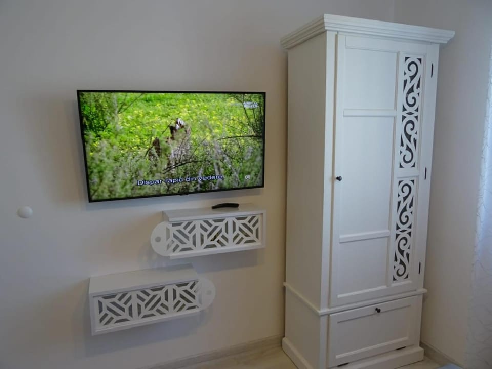 TV and multimedia