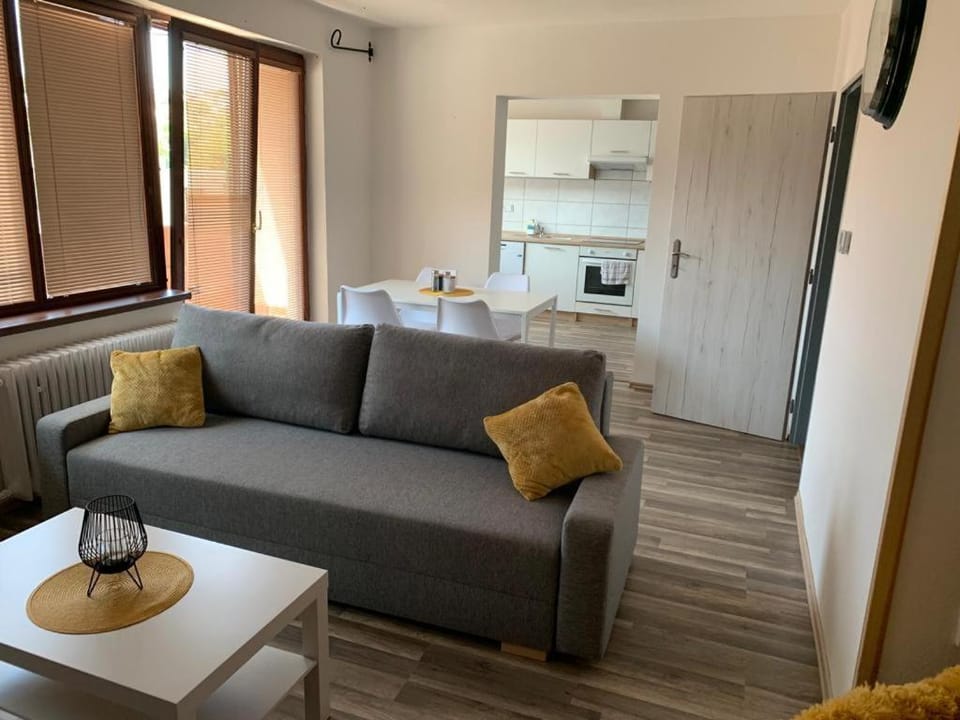 Kitchen or kitchenette, Living room, Seating area, Dining area, minibar, pet friendly, stove