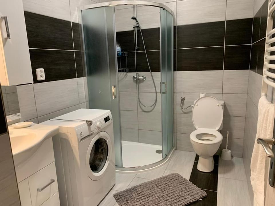 Shower, Toilet, Bathroom, towels, washing machine
