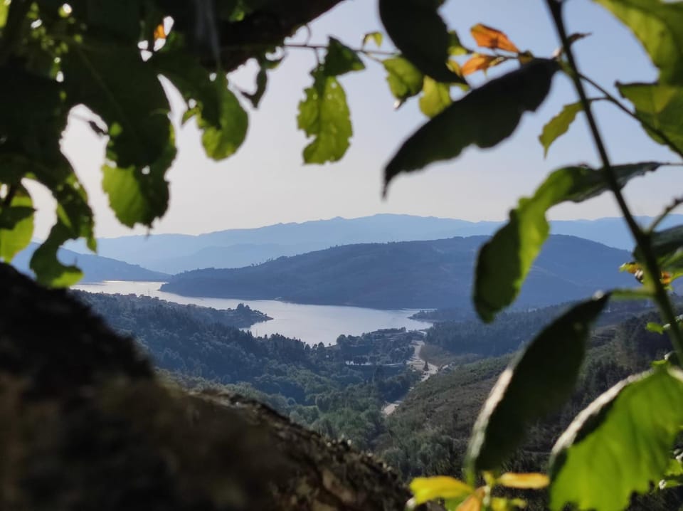 Vivenda das Carvalhas Vacation rental in Vila Real District