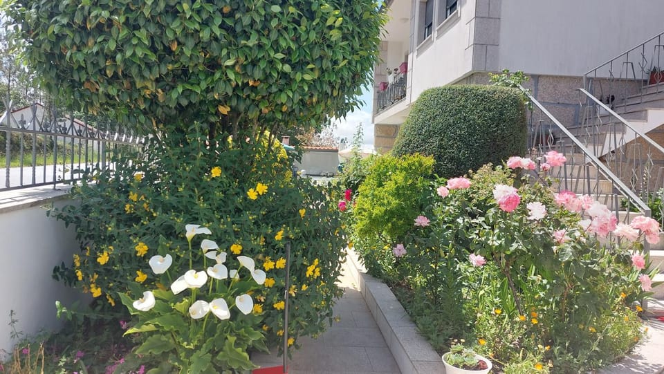 Vivenda das Carvalhas Vacation rental in Vila Real District