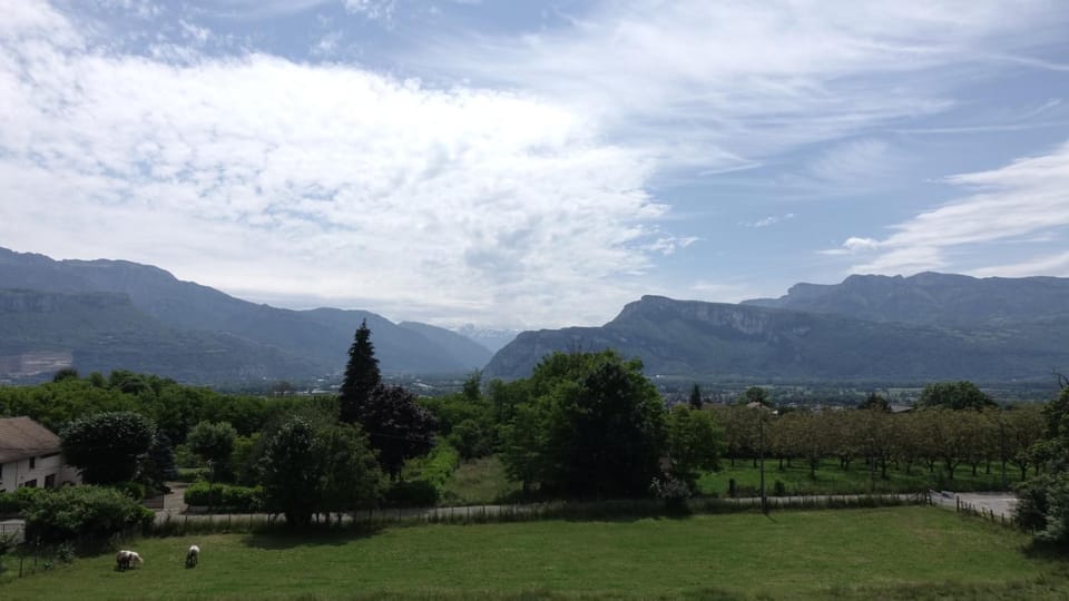 Garden, Garden view, Mountain view