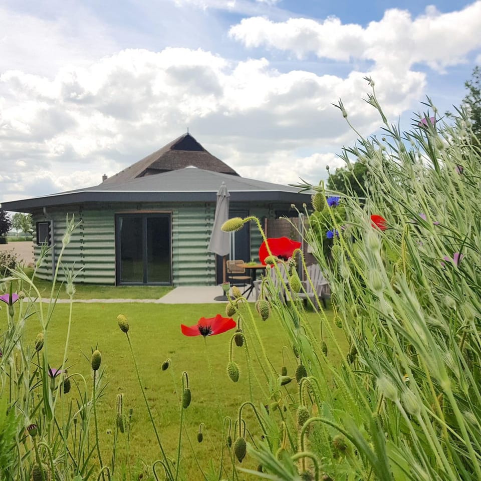 Property building, Day, Garden, Garden view