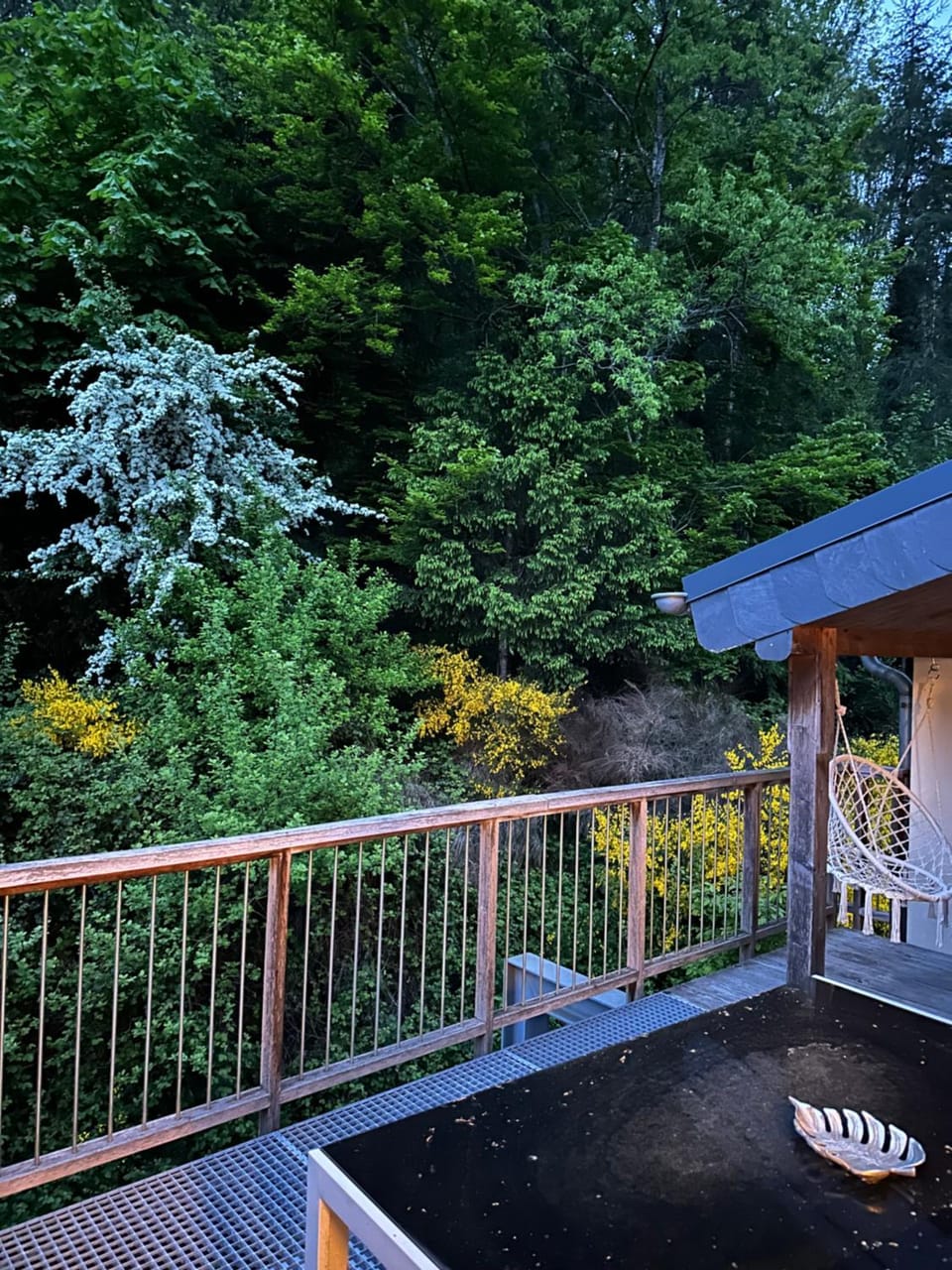 Balcony/Terrace, Garden view
