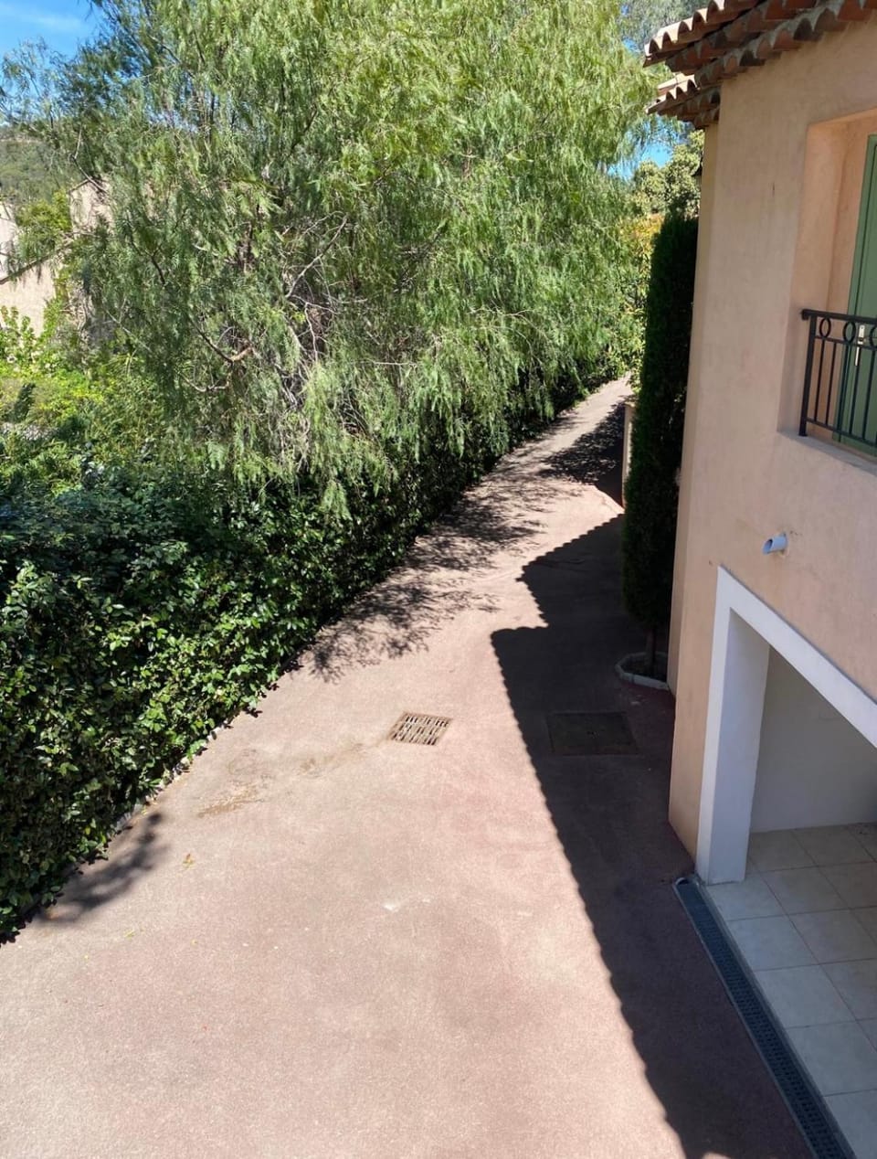 Property building, Garden, Garden view