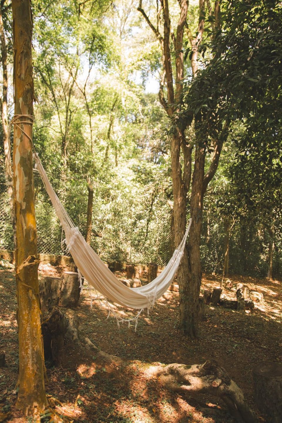 Day, Natural landscape